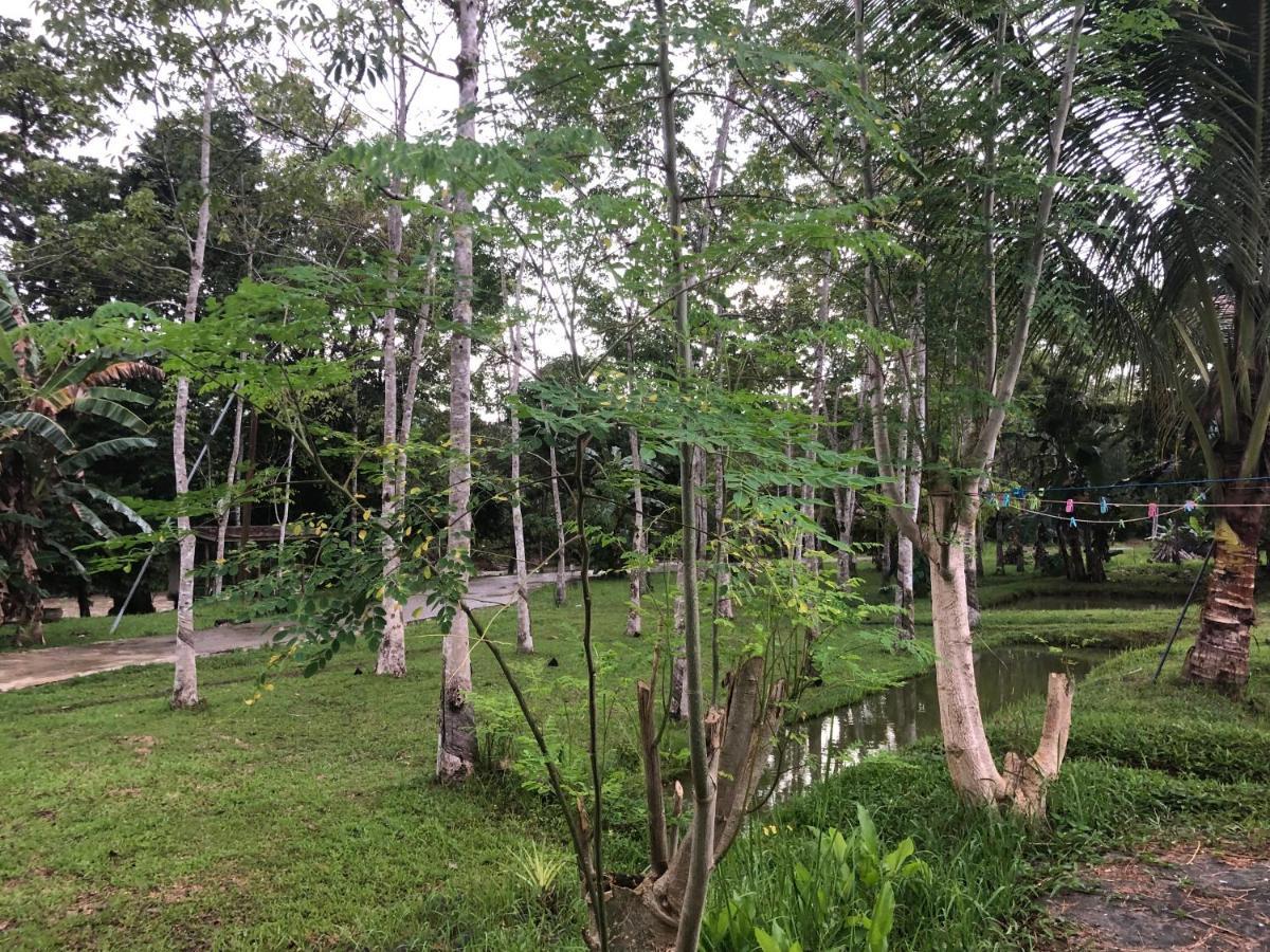 Grace Guesthouse Kota Belud 외부 사진